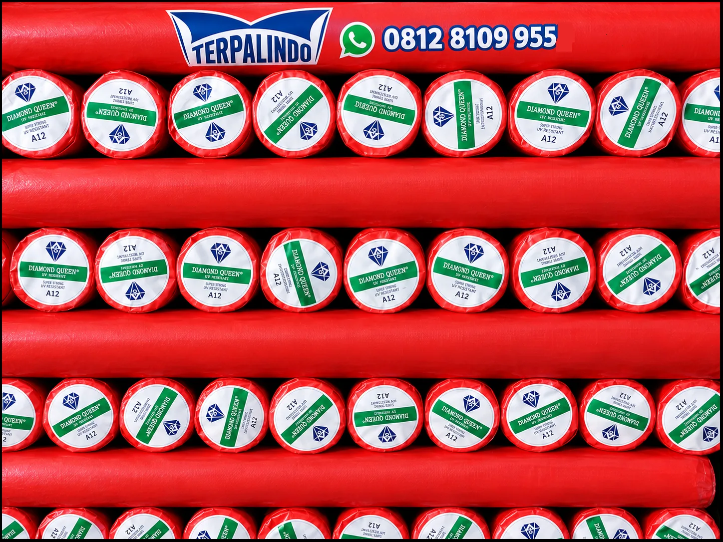 SUPPLIER TERPAL A12 DIAMOND QUEEN ROLLAN