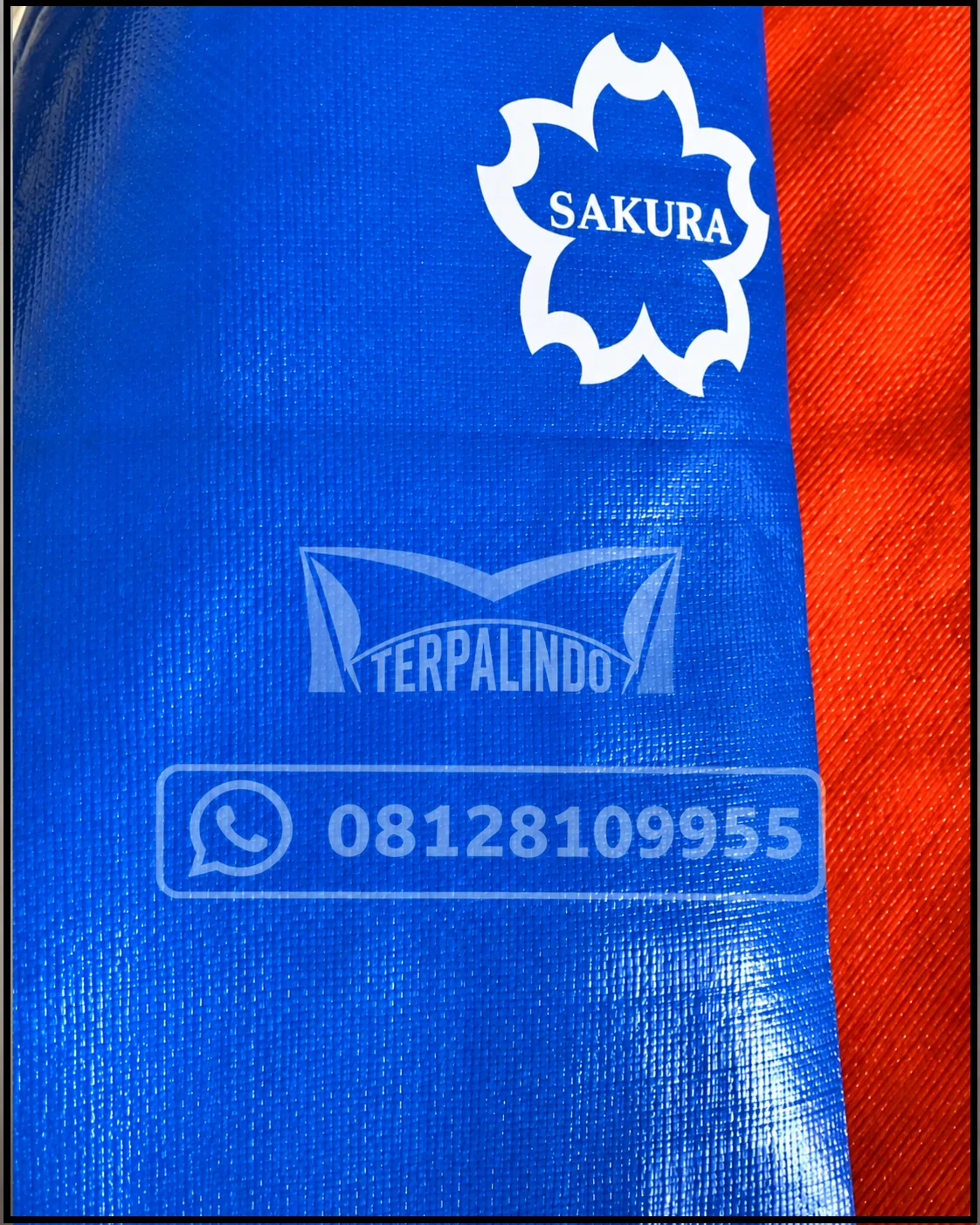 TERPAL A12 SAKURA