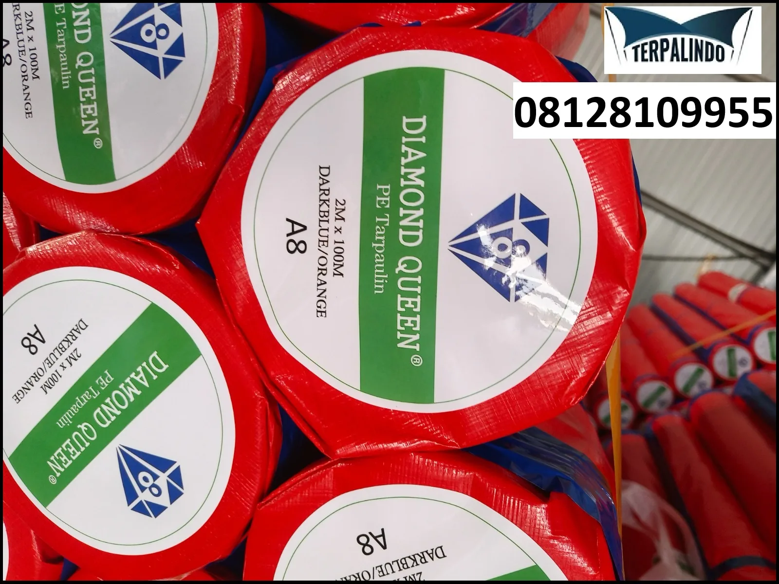 TERPAL A8 DIAMOND QUEEN ROLLAN